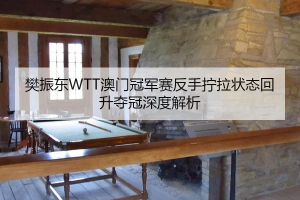 樊振东WTT澳门冠军赛反手拧拉状态回升夺冠深度解析