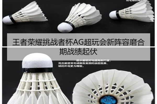 wang-zhe-rong-yao-tiao-zhan-zhe-bei-chao-wan-hui-xin-zhen-rong-mo-he-qi-zhan-ji-qi-fu-3-841.jpg